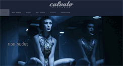 Desktop Screenshot of calvato.net